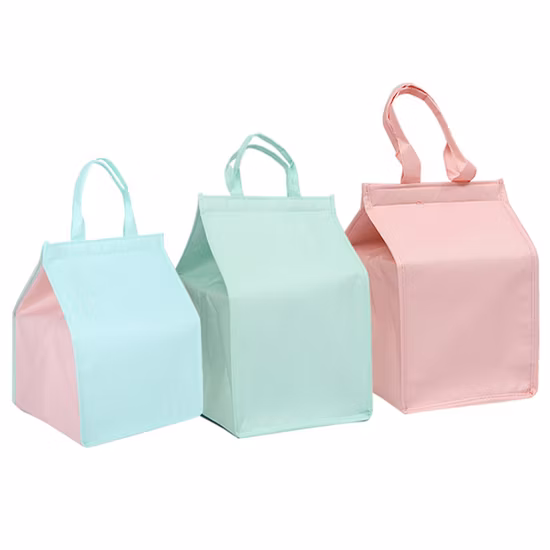 Kundenspezifische 6er-Packung isolierter Thermo-Lunch-Kühltaschen aus Vliesstoff, Großhandel in China